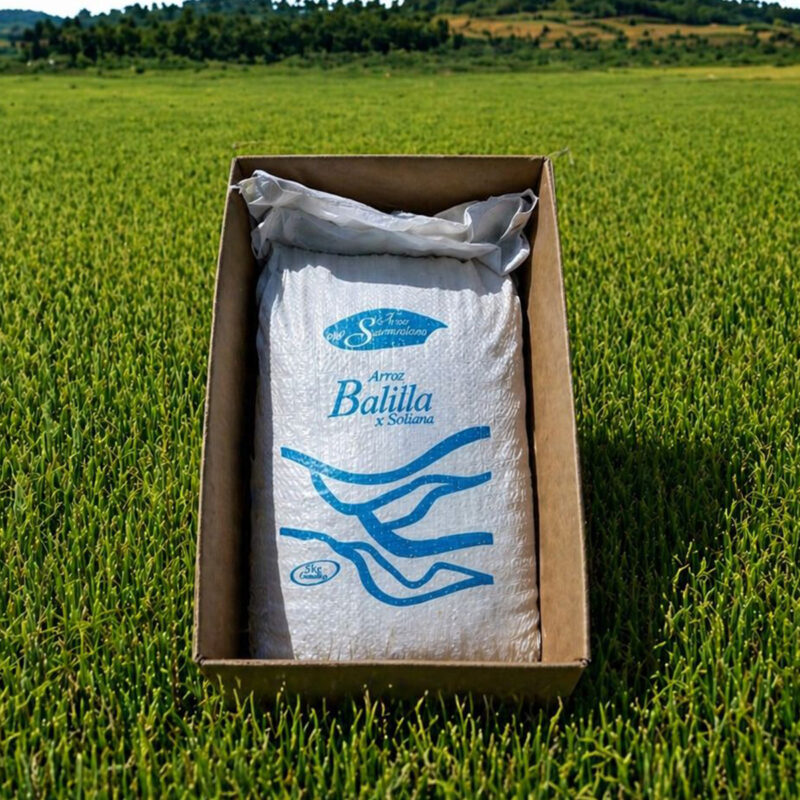 Arroz Balilla